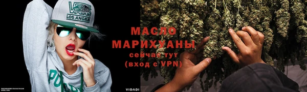 индика Горнозаводск