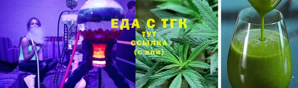 индика Горнозаводск
