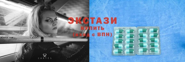 индика Горнозаводск