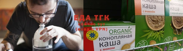 индика Горнозаводск