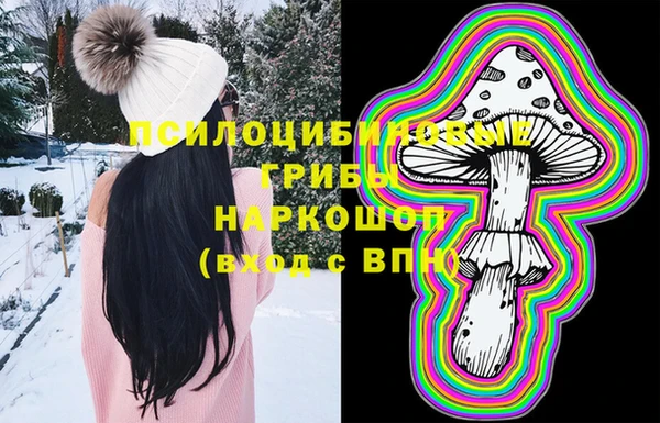 индика Горнозаводск