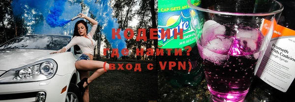 индика Горнозаводск