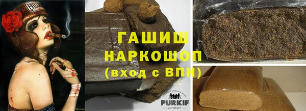 индика Горнозаводск