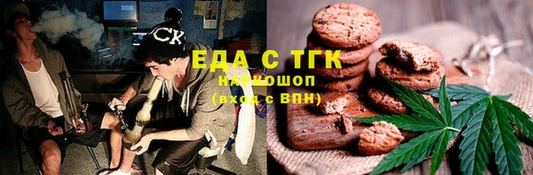 индика Горнозаводск