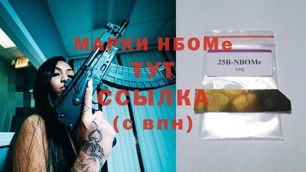 индика Горнозаводск