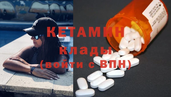 индика Горнозаводск