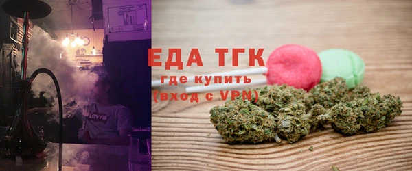 индика Горнозаводск