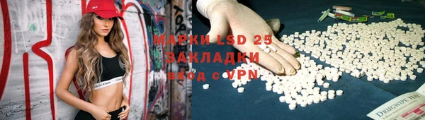 индика Горнозаводск