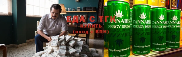 индика Горнозаводск