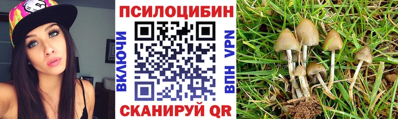 Псилоцибиновые грибы Magic Shrooms  что такое наркотик  Гаврилов Посад 